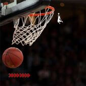 Psymedisport Group - Collaborazioni varie
